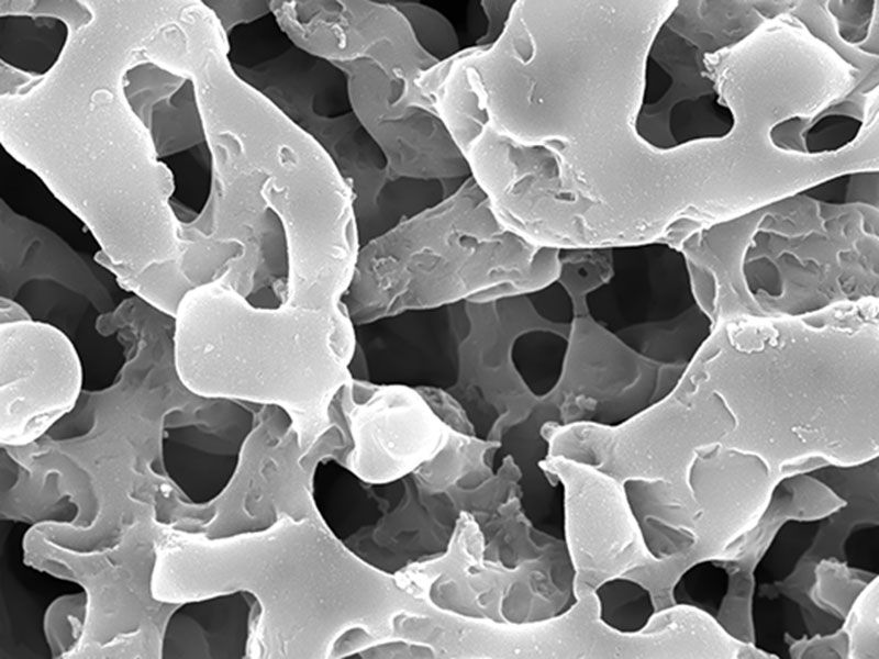 Enlarged view: Membrane Sciences