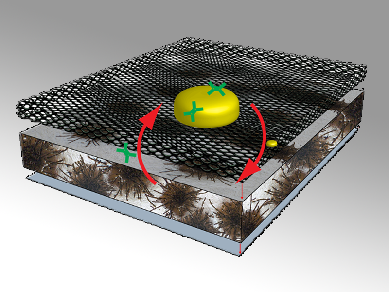 Enlarged view: Biomaterials and Living materials