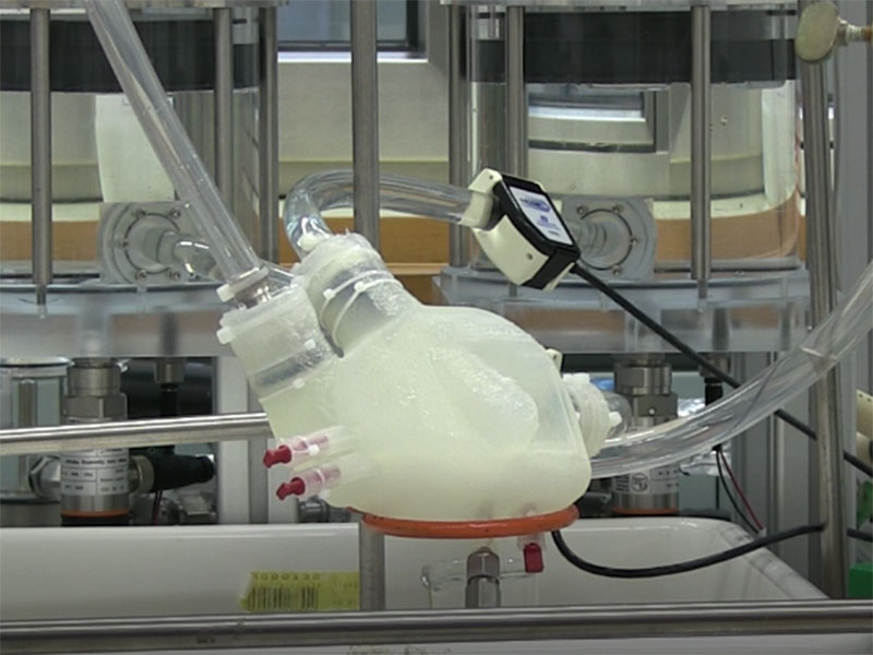 Enlarged view: Soft machines and robots